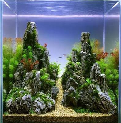 Aquascape 33 Desain Id